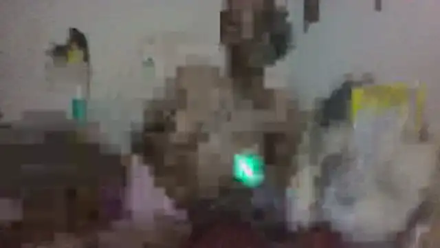 paradisejas webcam