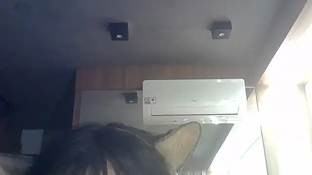 SkinnyKitten webcam