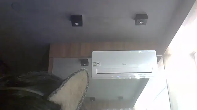 SkinnyKitten webcam