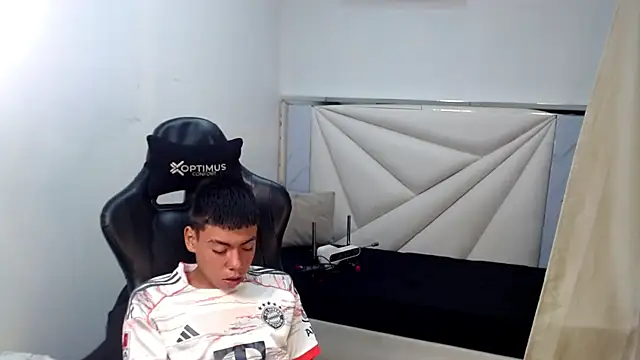 Liarr_ webcam