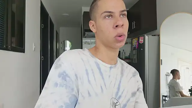 grey___27 webcam