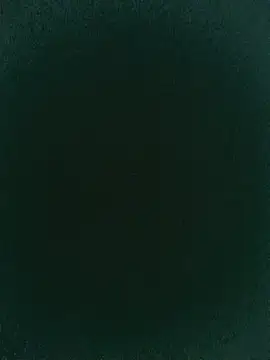 Lioste webcam
