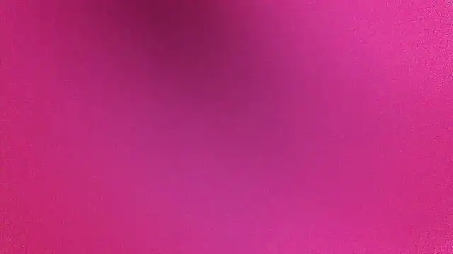 NuttyProfesir webcam
