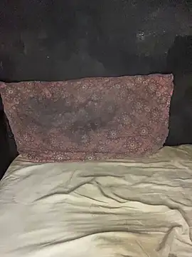 Jaydemasked webcam