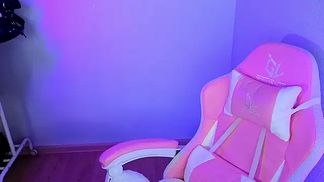 Chiibis webcam