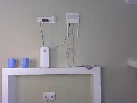 Elsie_1 webcam
