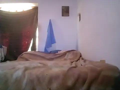 wa379 webcam
