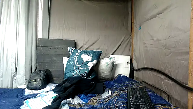 Camodick webcam