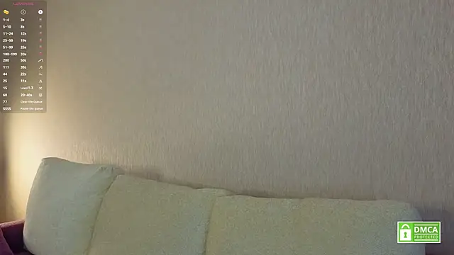 HongTomczak webcam