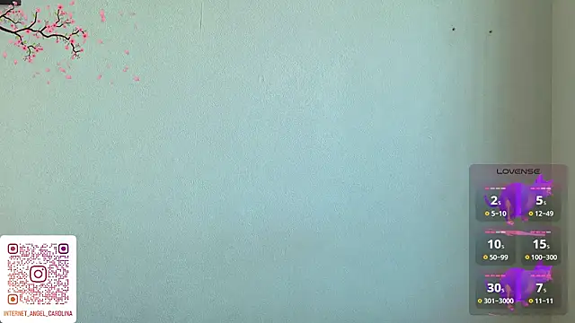 LittleKittenStar webcam