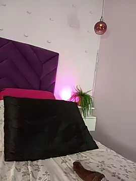 haileystone webcam