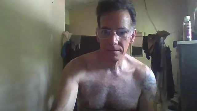 CaptainFox webcam