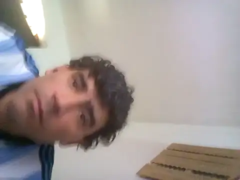 wa379 webcam