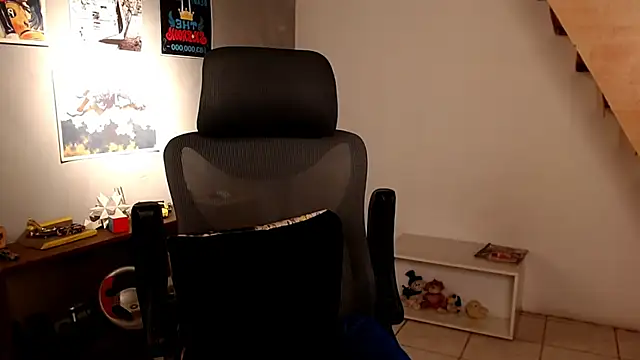 Thieves9 webcam