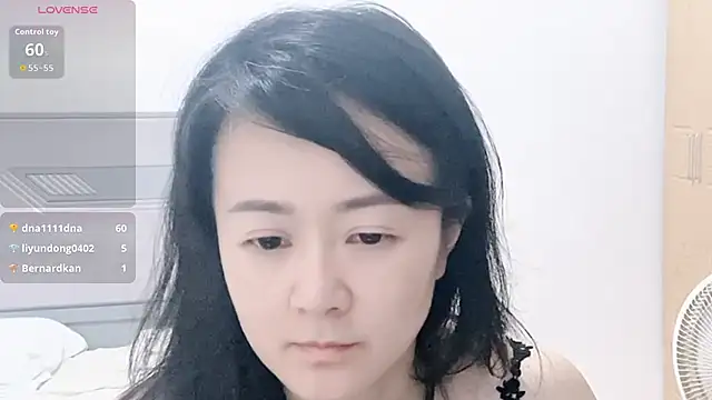 fanfan-FF webcam