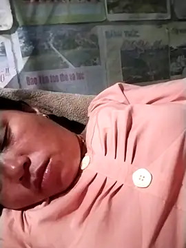 Min-in webcam