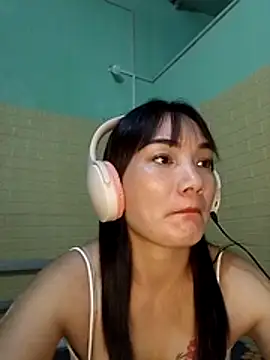 Voiva11 webcam
