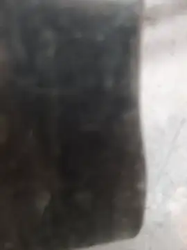 niloy0909 webcam