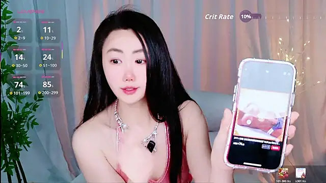 Dolpin_ webcam