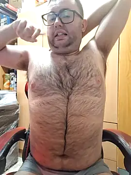 Javier_bear webcam