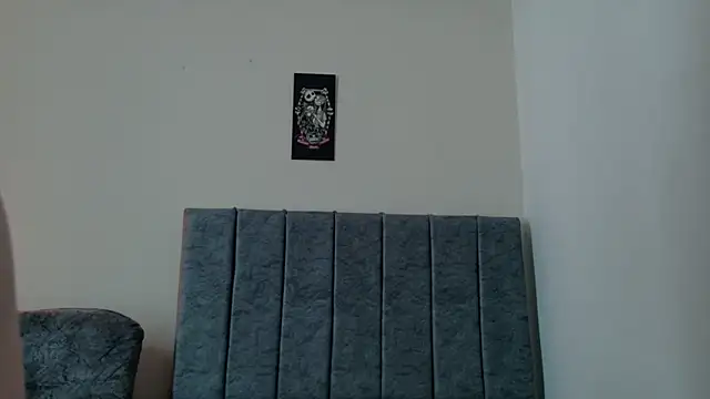 ArtesanaMK webcam