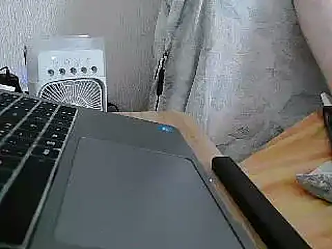 VeneRed webcam