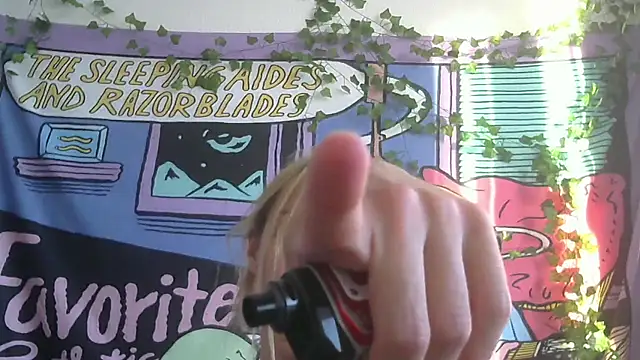 icebenz webcam