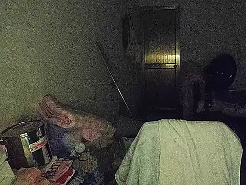 RebelAura webcam
