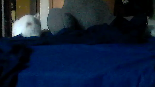 Silencio26 webcam