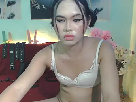 Demilame webcam