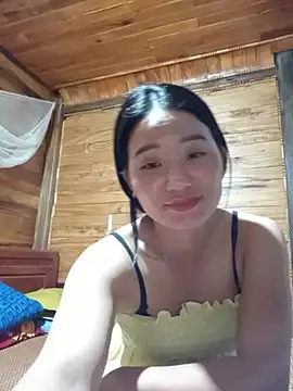 Td3di webcam