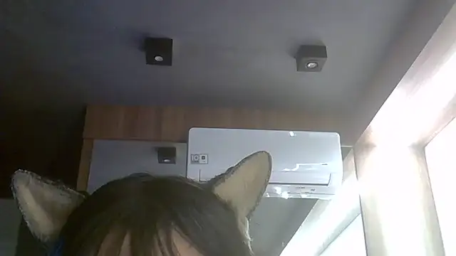 SkinnyKitten webcam