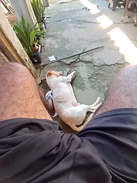 Negodabenga webcam