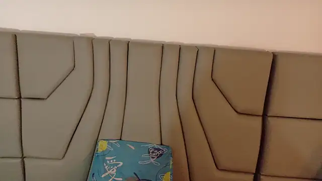 ParanoidTemptaion_ webcam