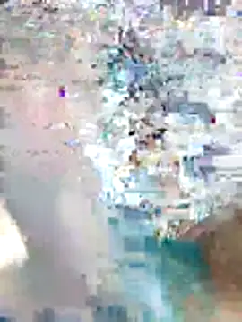 desi_pb02 webcam