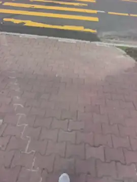 PublicMarekFlashDick webcam