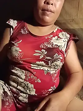 Ip34 webcam