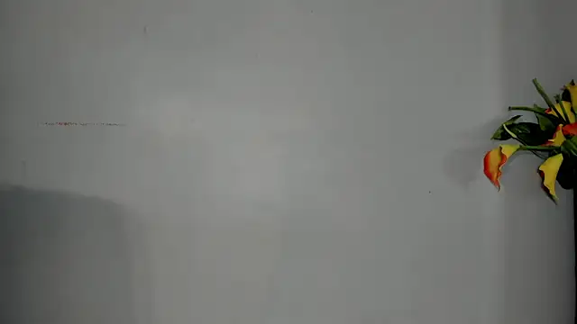 SophieW1 webcam