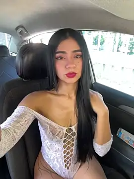 Dakota-fire webcam