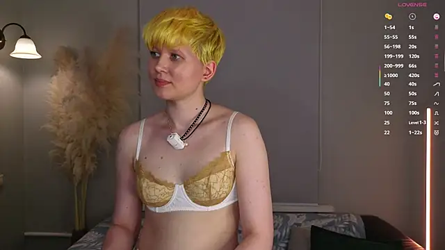CherrryMuse webcam