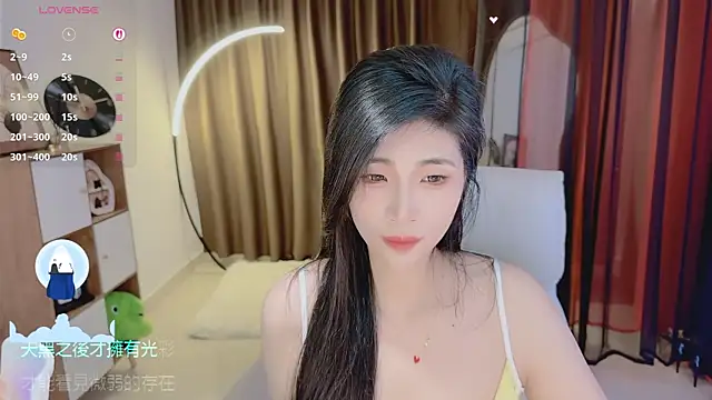Vaidurya-Yolo webcam