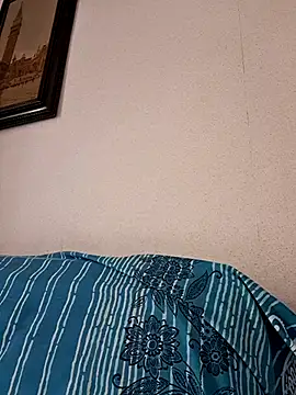 Sony28v webcam