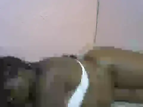 Wild_Ass- webcam