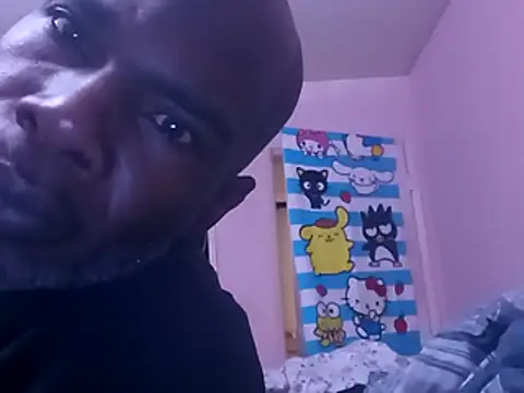 Blkstylion webcam