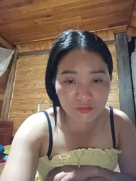 Td3di webcam
