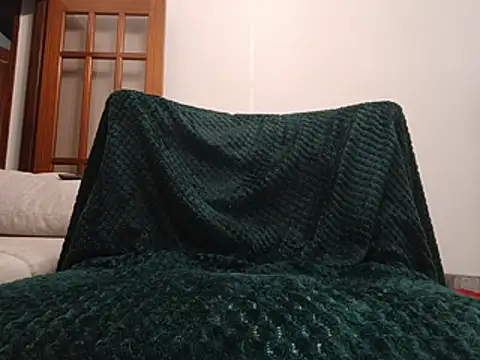 QuietBoy webcam