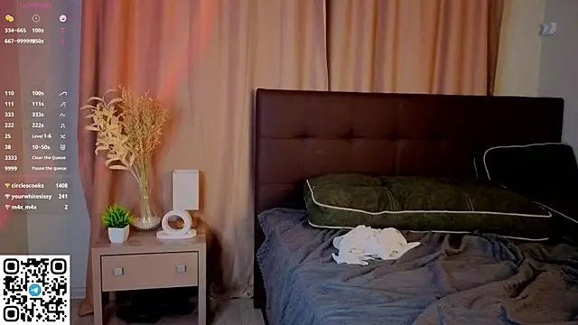 NerixalVire webcam