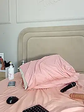 Liastarkk webcam