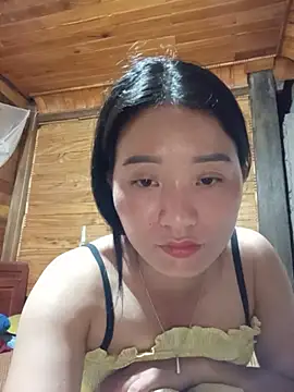 Td3di webcam