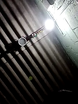 cutiepari webcam